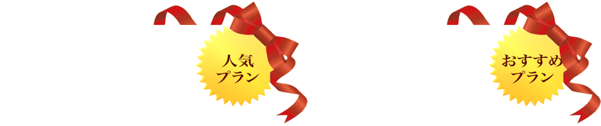 おすすめプラン